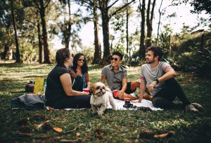 Addiction Recovery
