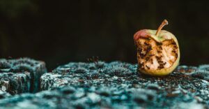 Foodborne Illnesses
